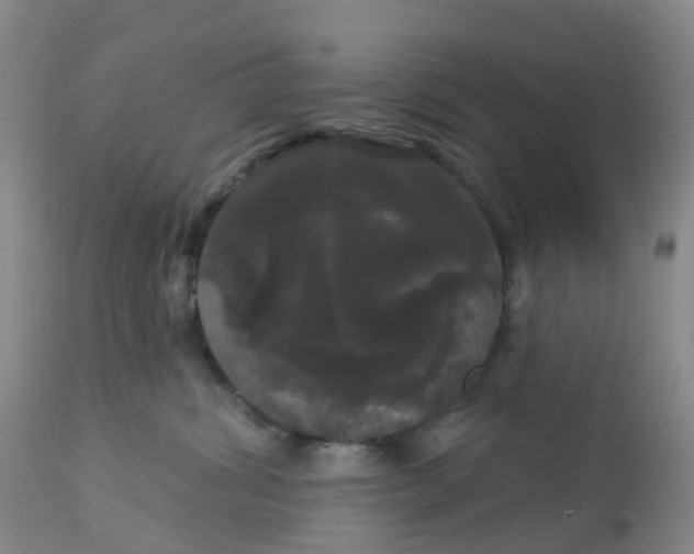 X0000113080428200909111008