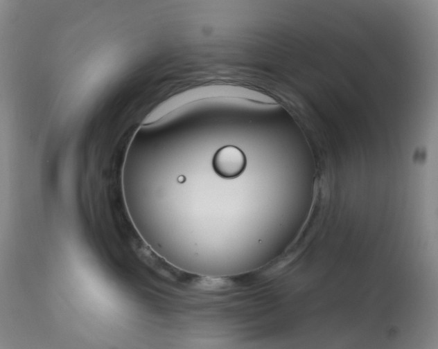 X0000113080429200909111008