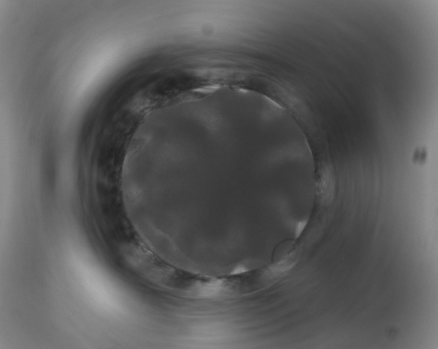 X0000113080430200909111008