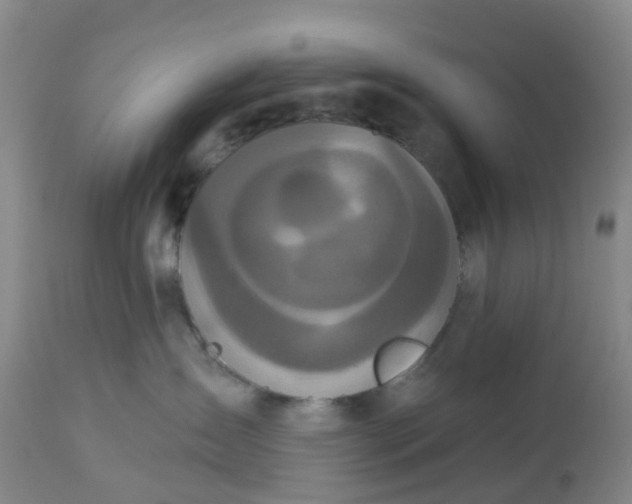 X0000113080431200909111008