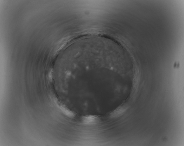 X0000113080432200909111008