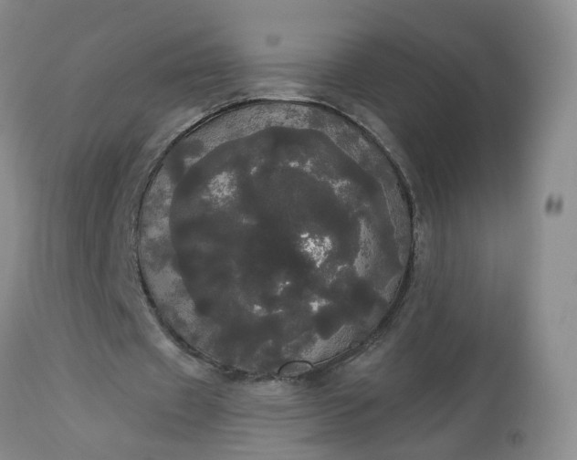 X0000113080433200909111007