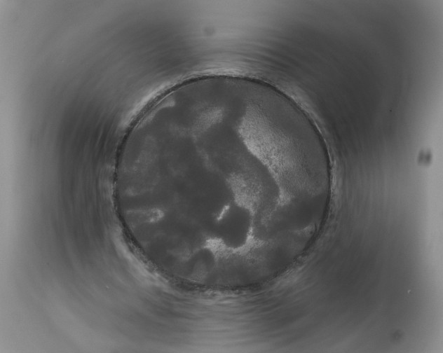 X0000113080434200909111007