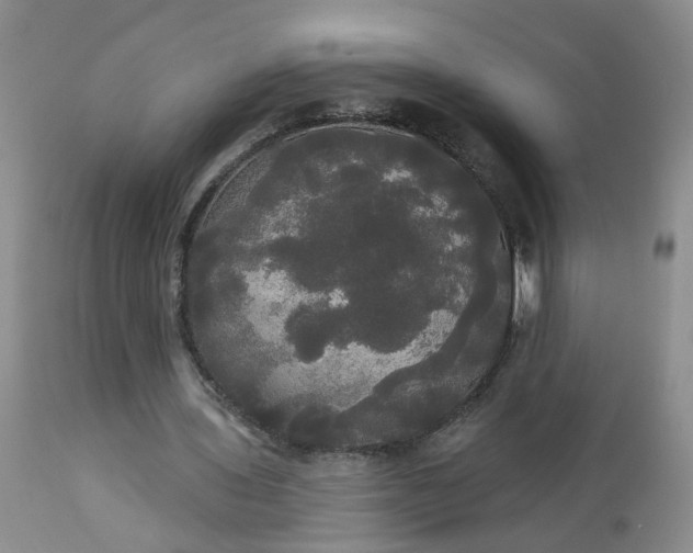 X0000113080435200909111007