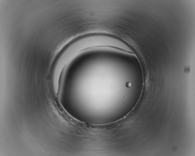 X0000113080436200909111007