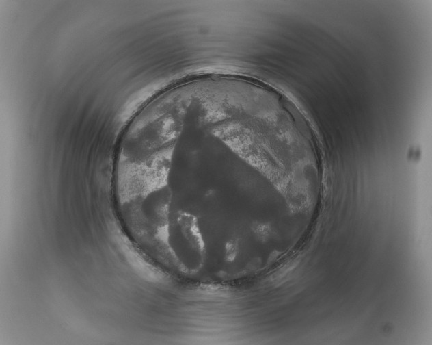 X0000113080437200909111007