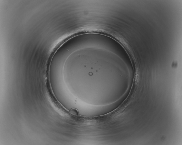 X0000113080438200909111007