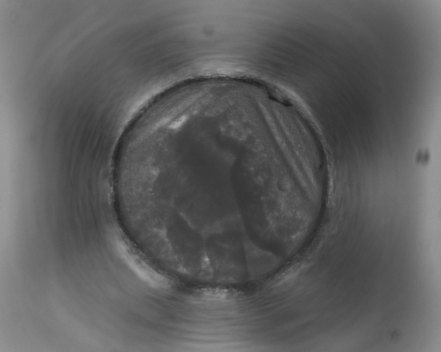 X0000113080439200909111007