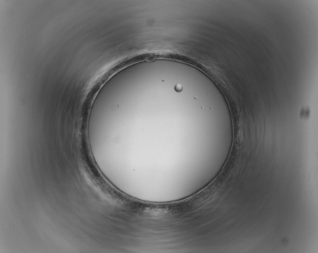 X0000113080440200909111007