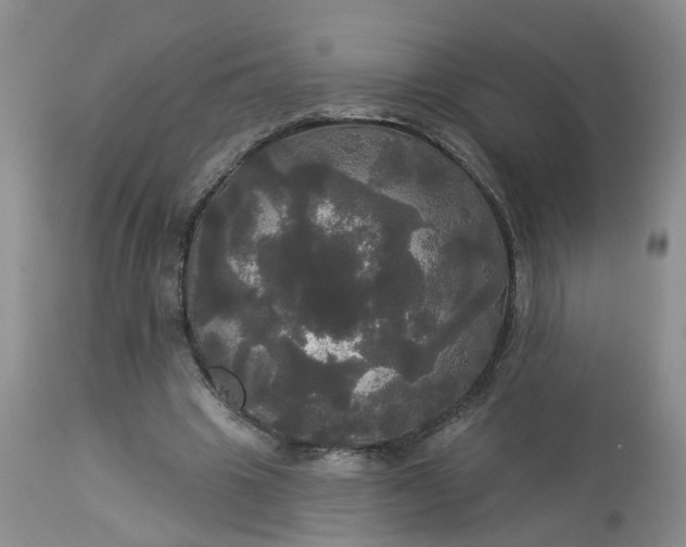 X0000113080441200909111007