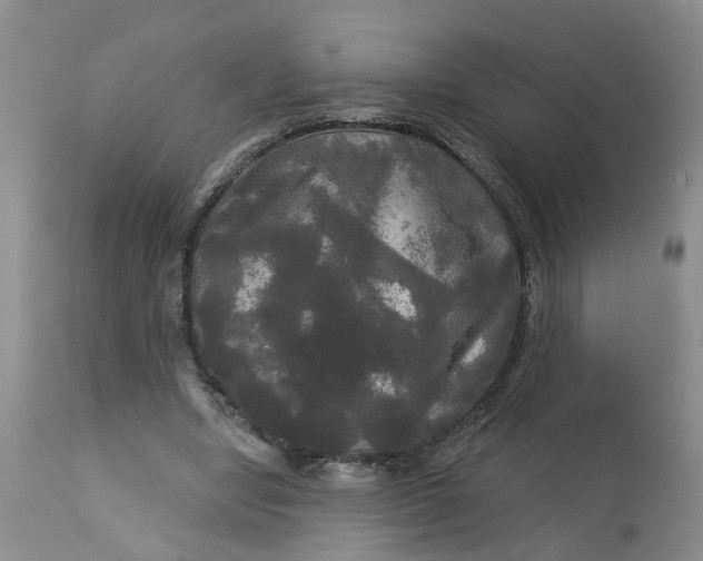 X0000113080442200909111007