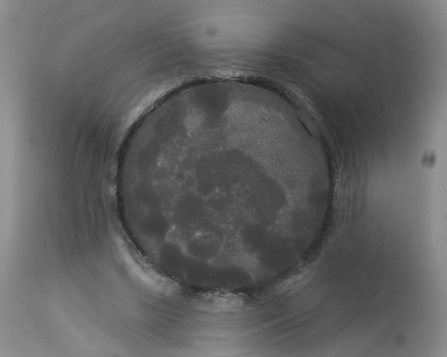 X0000113080443200909111007