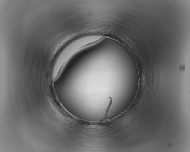 X0000113080444200909111007