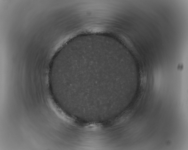 X0000113080447200909111007