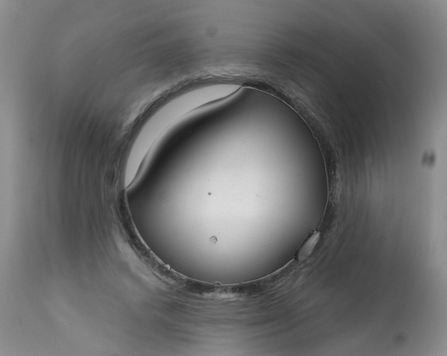 X0000113080448200909111007