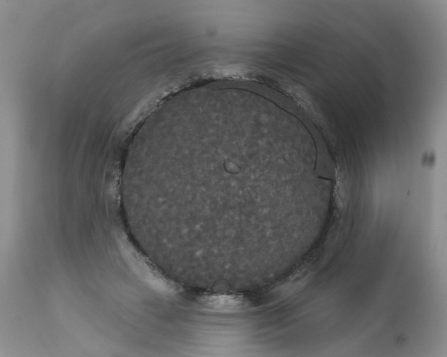 X0000113080449200909111007