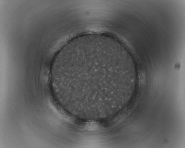 X0000113080451200909111007