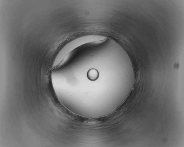 X0000113080452200909111007