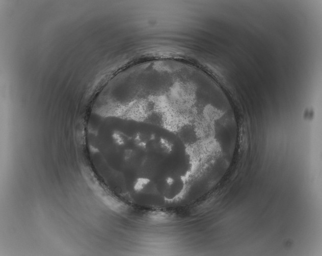 X0000113080453200909111007