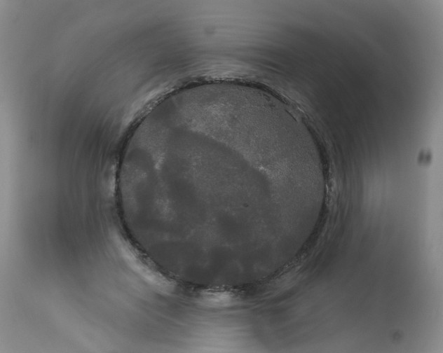 X0000113080454200909111007