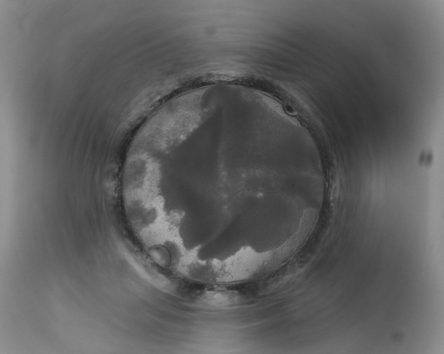 X0000113080455200909111007