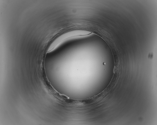 X0000113080456200909111007