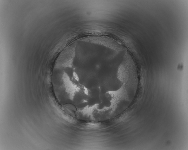 X0000113080457200909111007