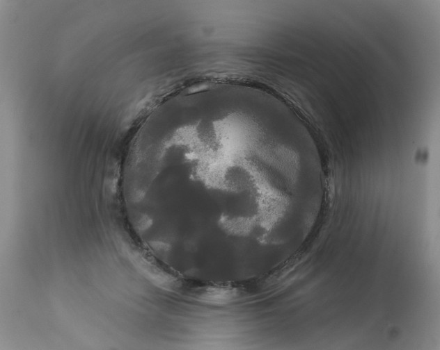 X0000113080458200909111007