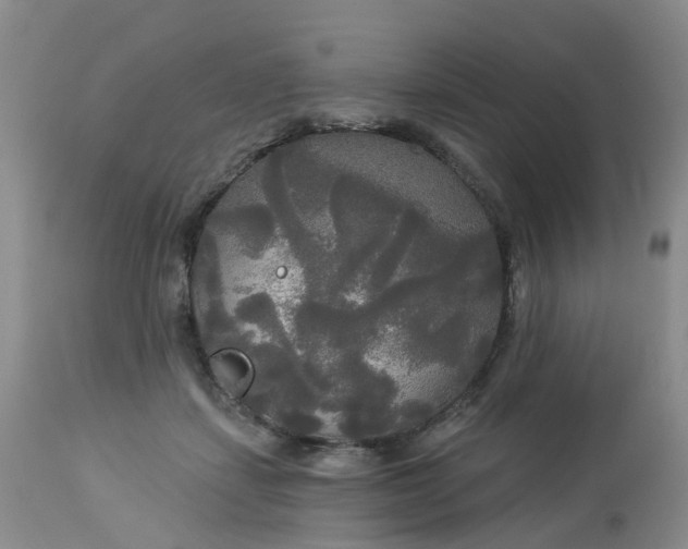 X0000113080459200909111007