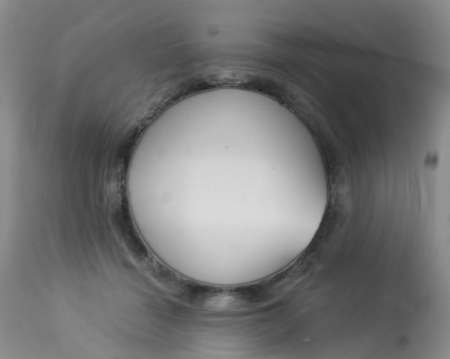 X0000113080460200909111007