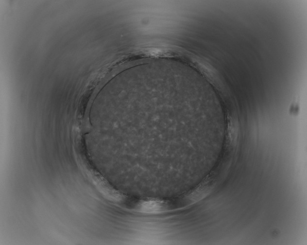 X0000113080461200909111007