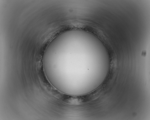 X0000113080464200909111007