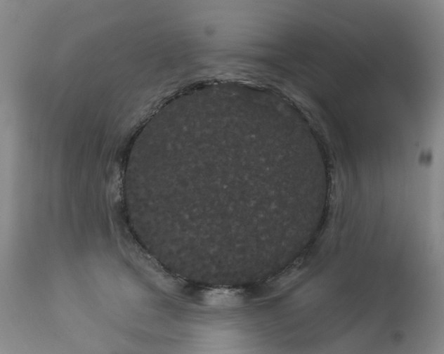 X0000113080465200909111007