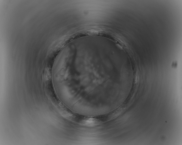 X0000113080467200909111007