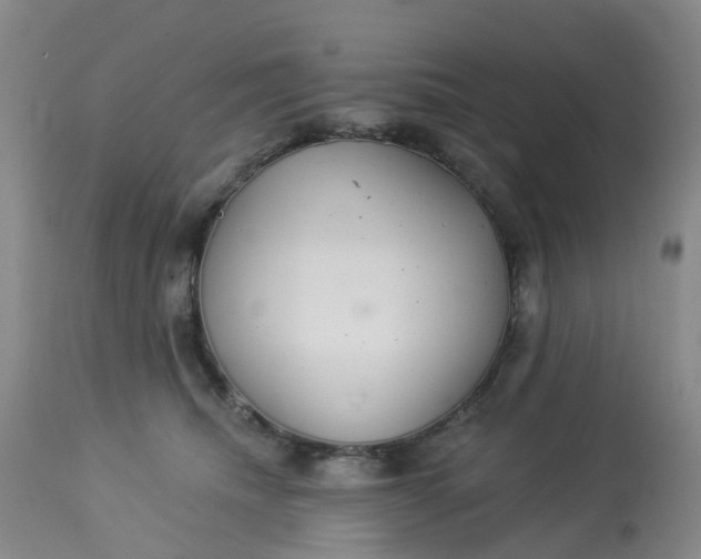 X0000113080468200909111007