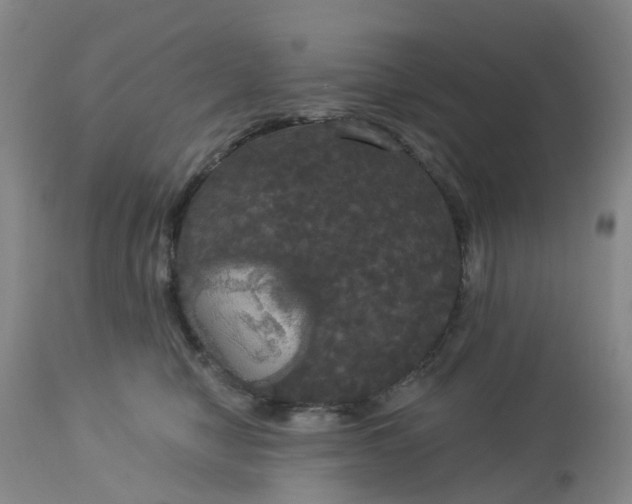 X0000113080470200909111007