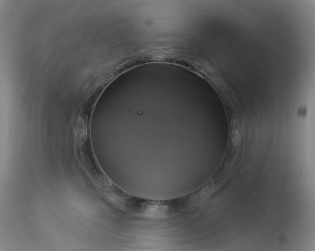 X0000113080471200909111007