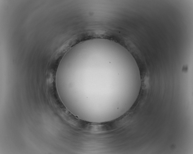 X0000113080472200909111007