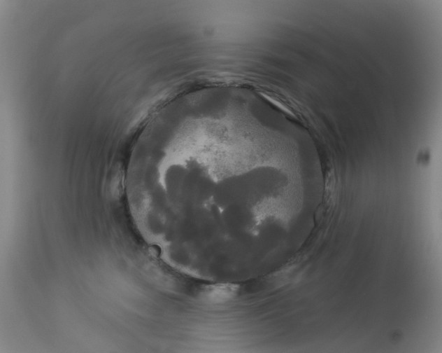 X0000113080474200909111008