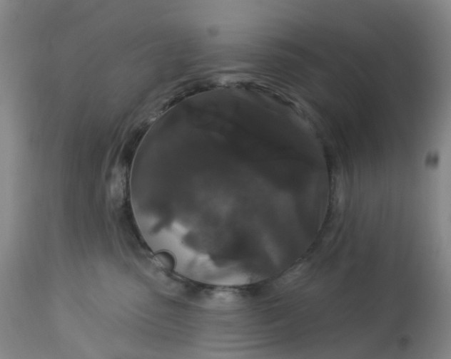 X0000113080475200909111008