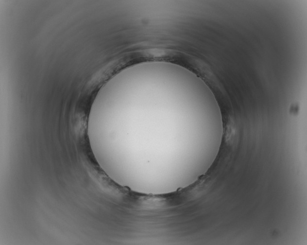 X0000113080476200909111008