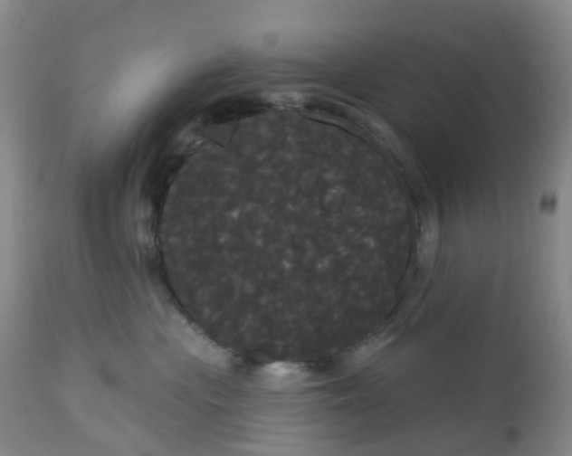 X0000113080477200909111008