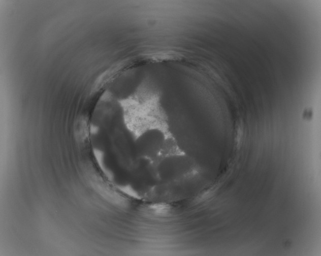 X0000113080478200909111008