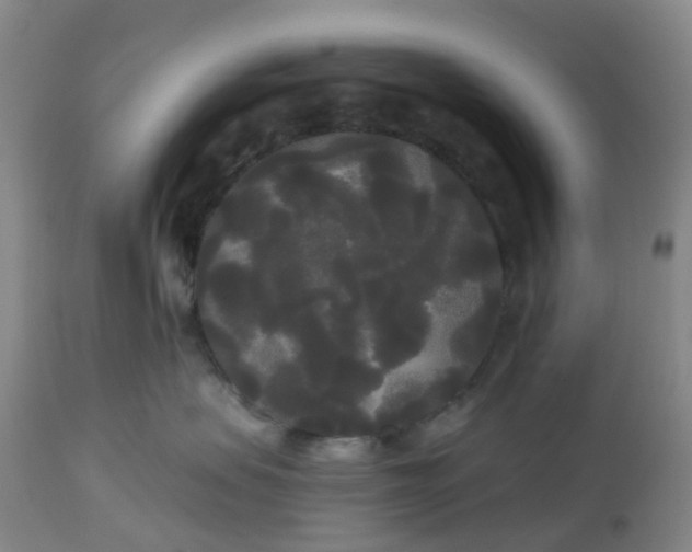 X0000113080479200909111008