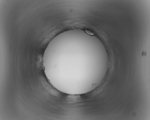 X0000113080480200909111008