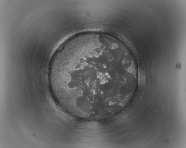 X0000113080483200909111007