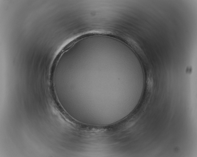 X0000113080484200909111007