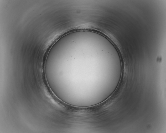 X0000113080485200909111007