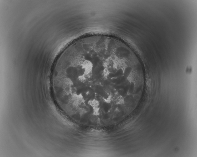 X0000113080487200909111007