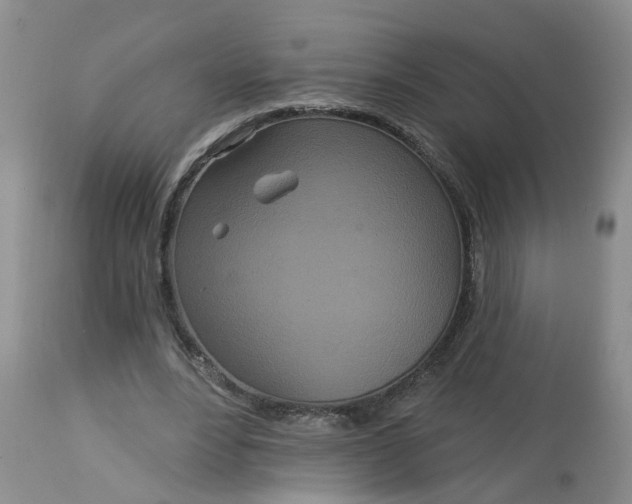 X0000113080488200909111007